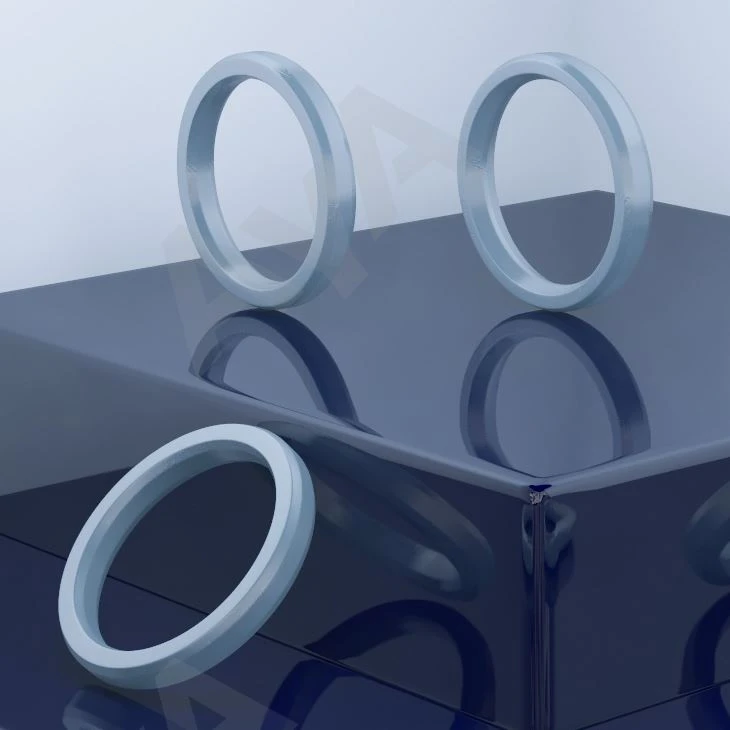 Sealing Ring Gasket